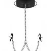 Submission Collar And Nipple Clamp Union -Online Sex Shops AD713 1