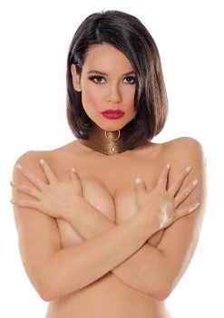 Look At Me Posture Collar – Bronze